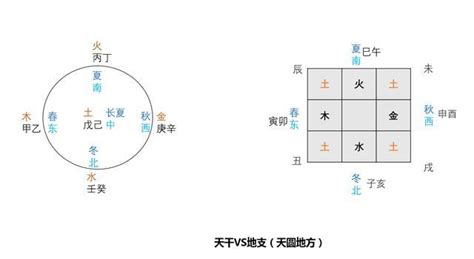 地支 五行屬性|一張圖搞懂天干地支與陰陽五行的關係